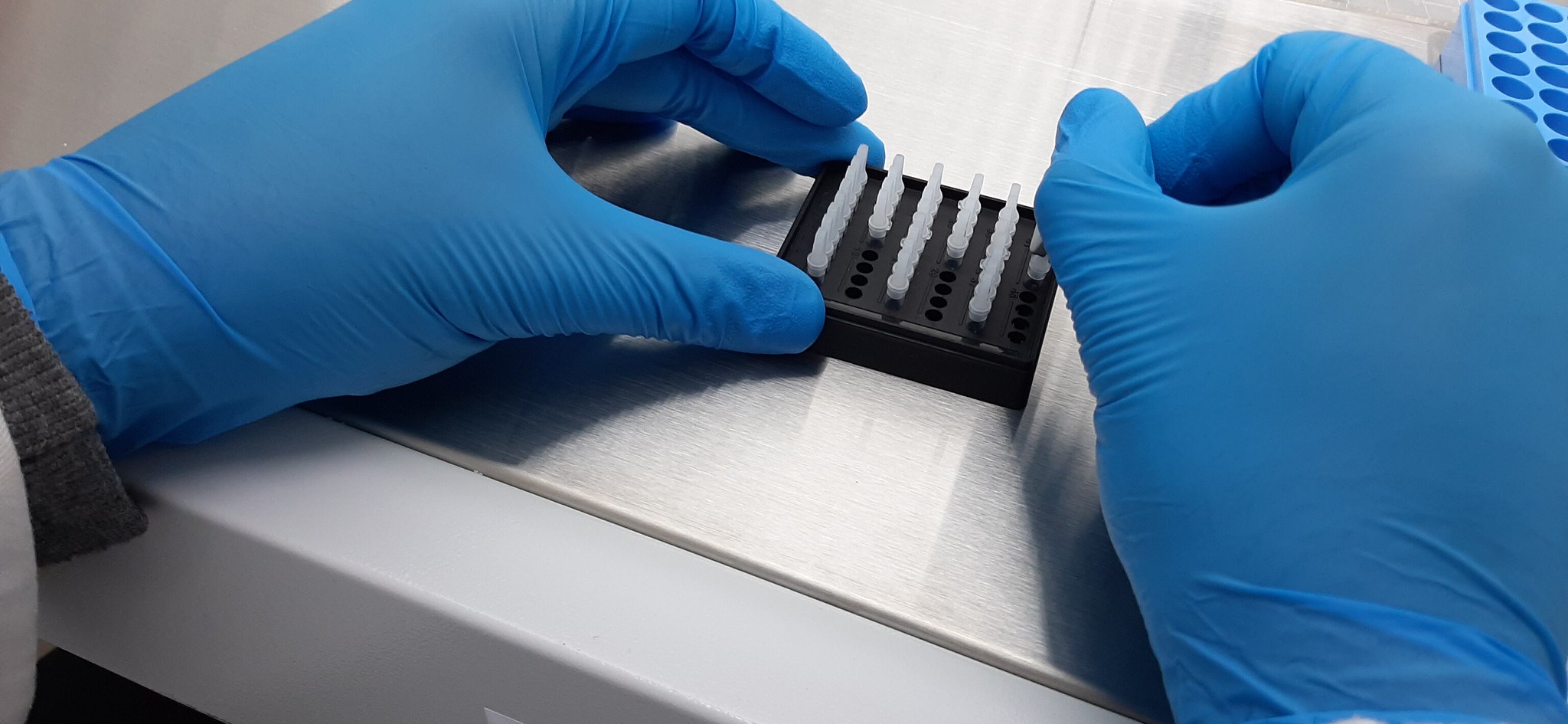 Research Roundup: A non-exclusive COVID-19 license, Pfizer's shot in kids, and a vaccine network - Vimarsana News